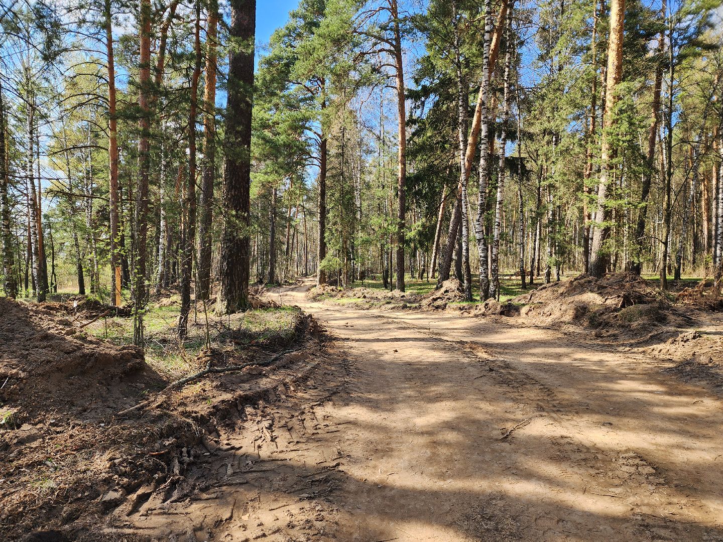 красноармейск, городской округ пушкинский, лесопарк, банный лес,