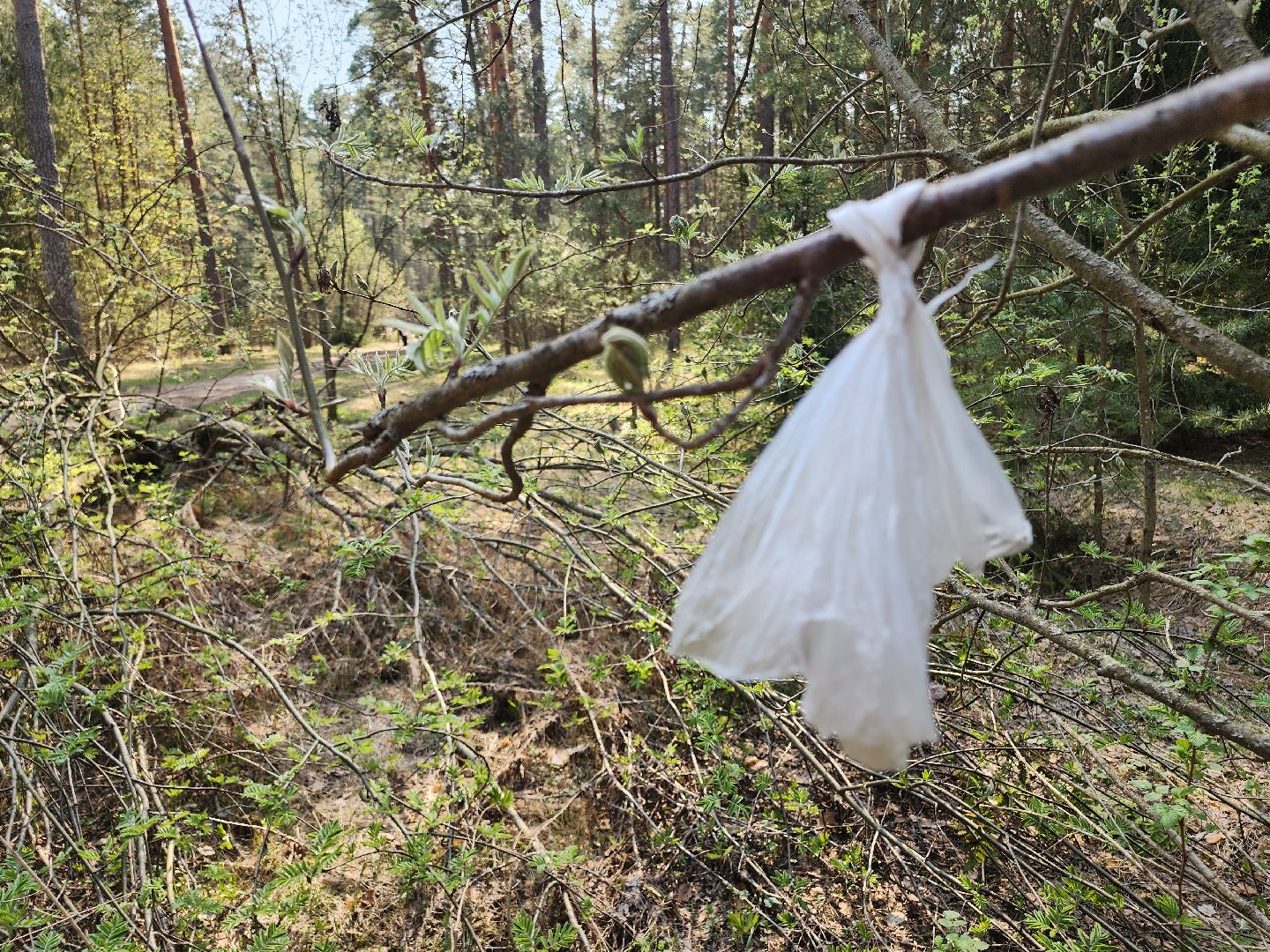 Егорьевск , Подмосковье , Московская область ,