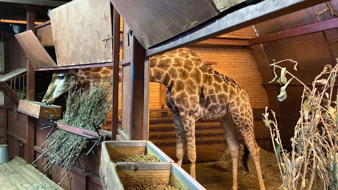 Волоколамск