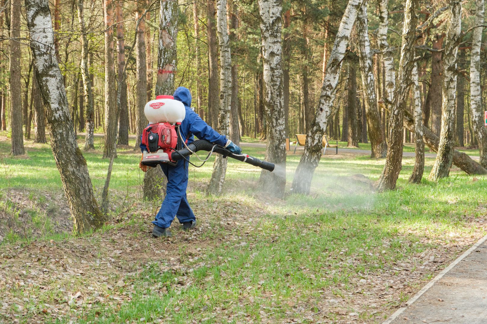 лыткарино, лесопарк волкуша, акарицидная обработка, обработка против клещей, благоустройство, парки,