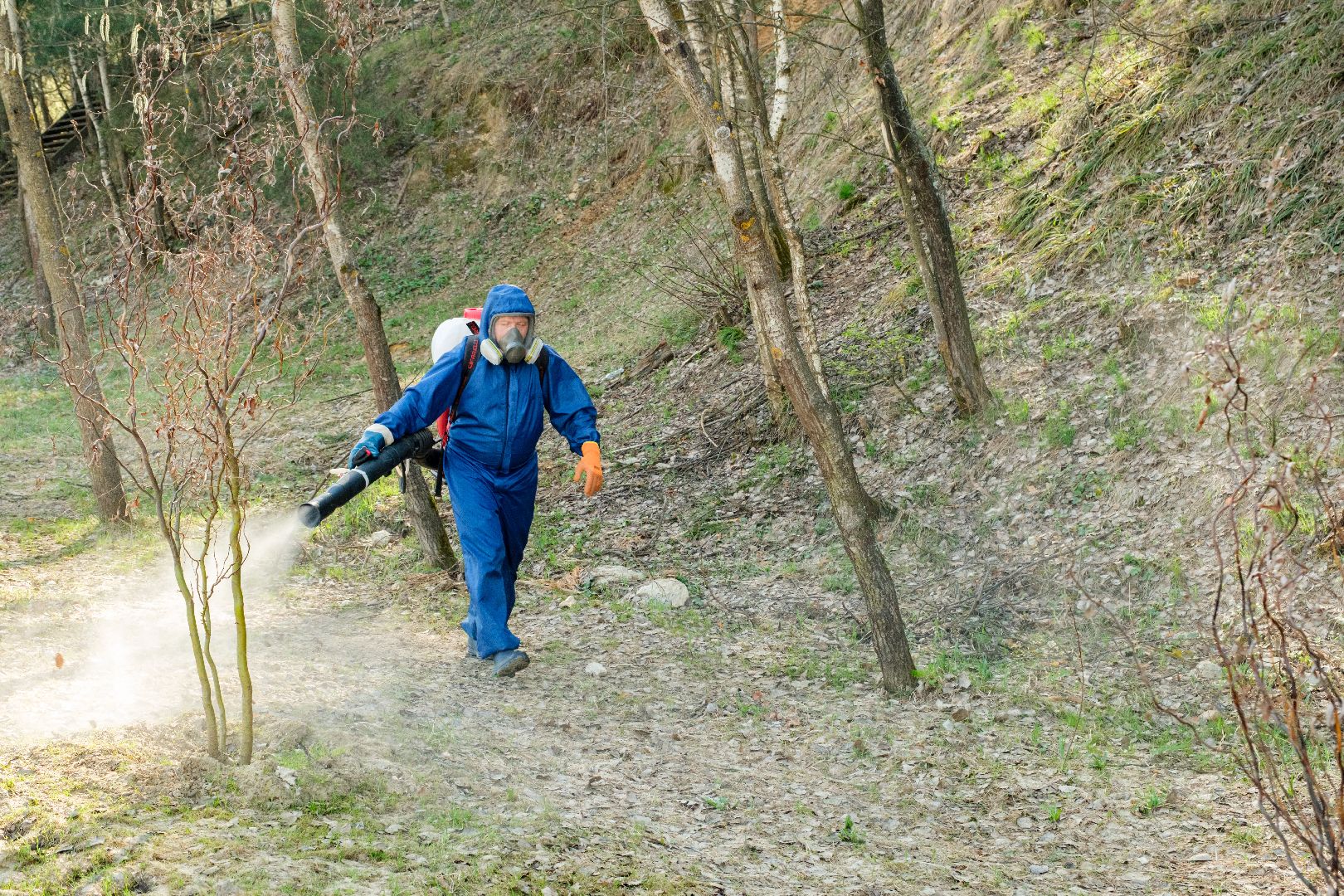 лыткарино, лесопарк волкуша, акарицидная обработка, обработка против клещей, благоустройство, парки,
