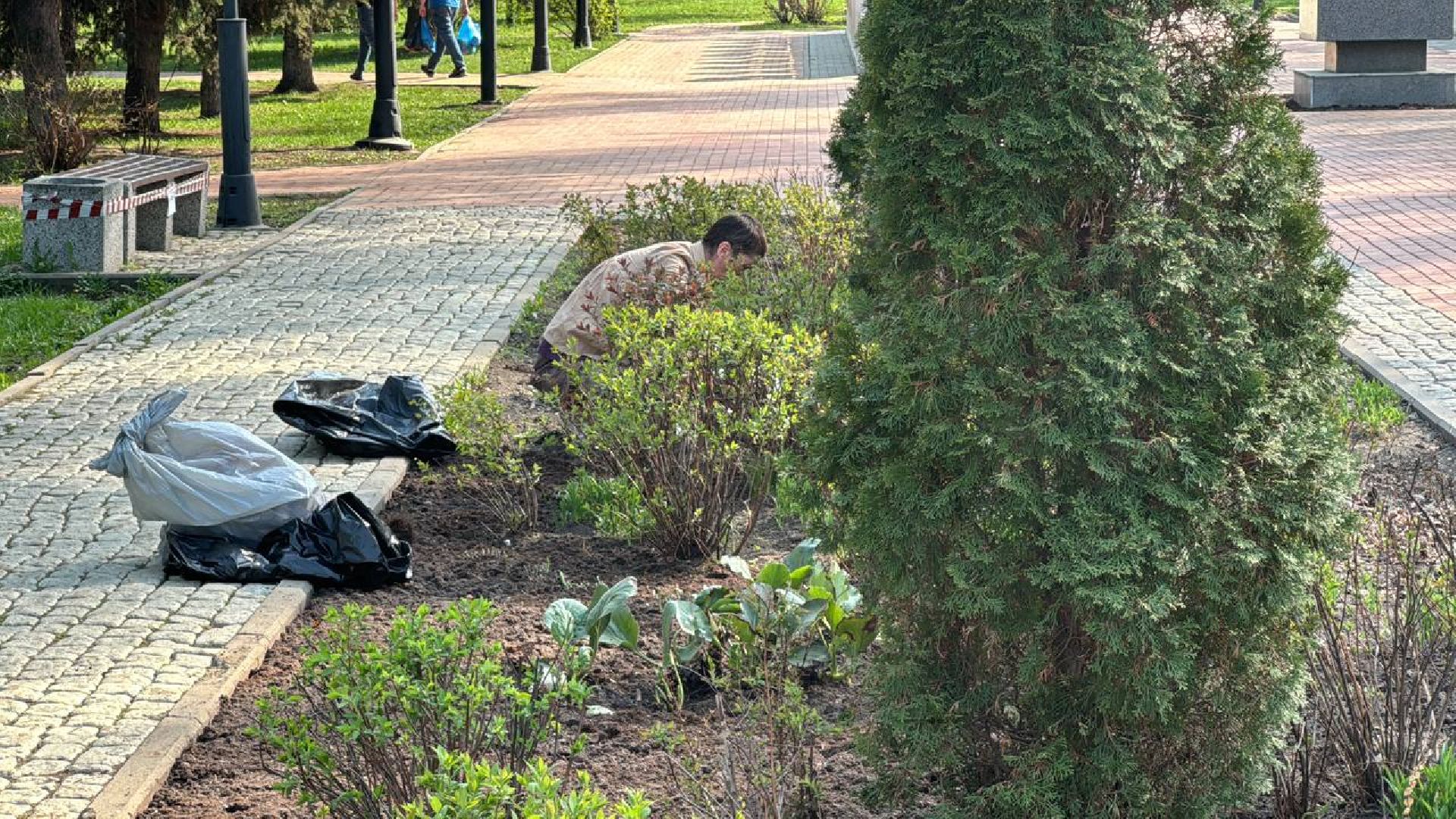 благоустройство, покраска лавочек, аллея героев,