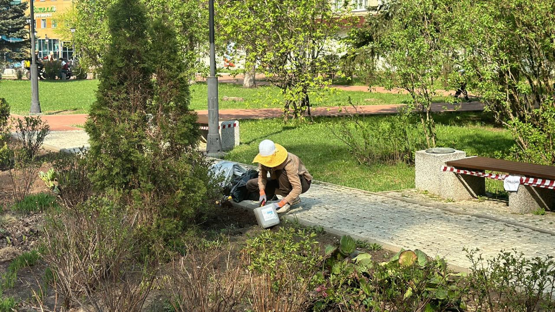 благоустройство, покраска лавочек, аллея героев,