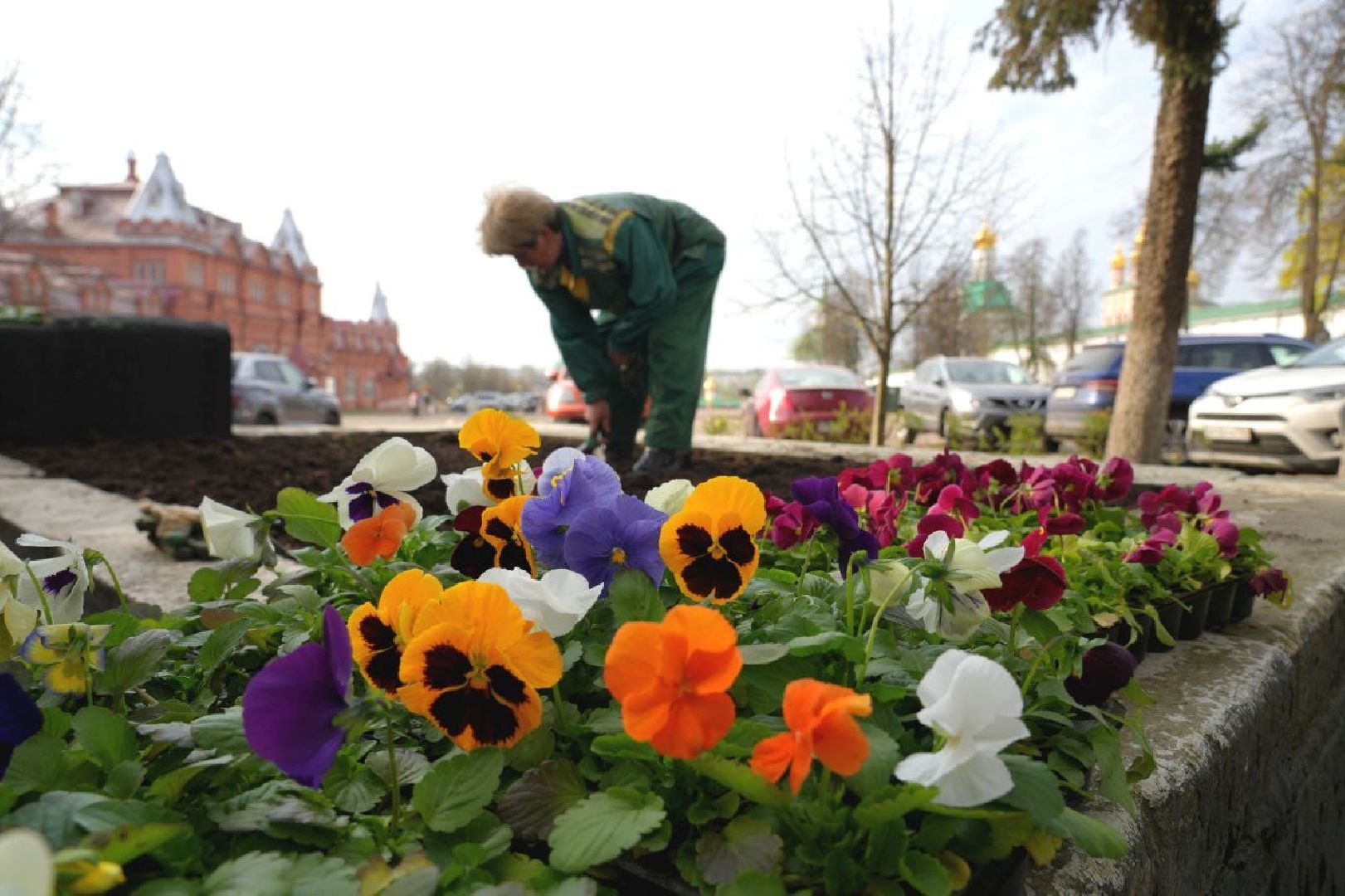 благоустройство , сергиев посад, сергиево-посадский городской округ, украшение , весна,