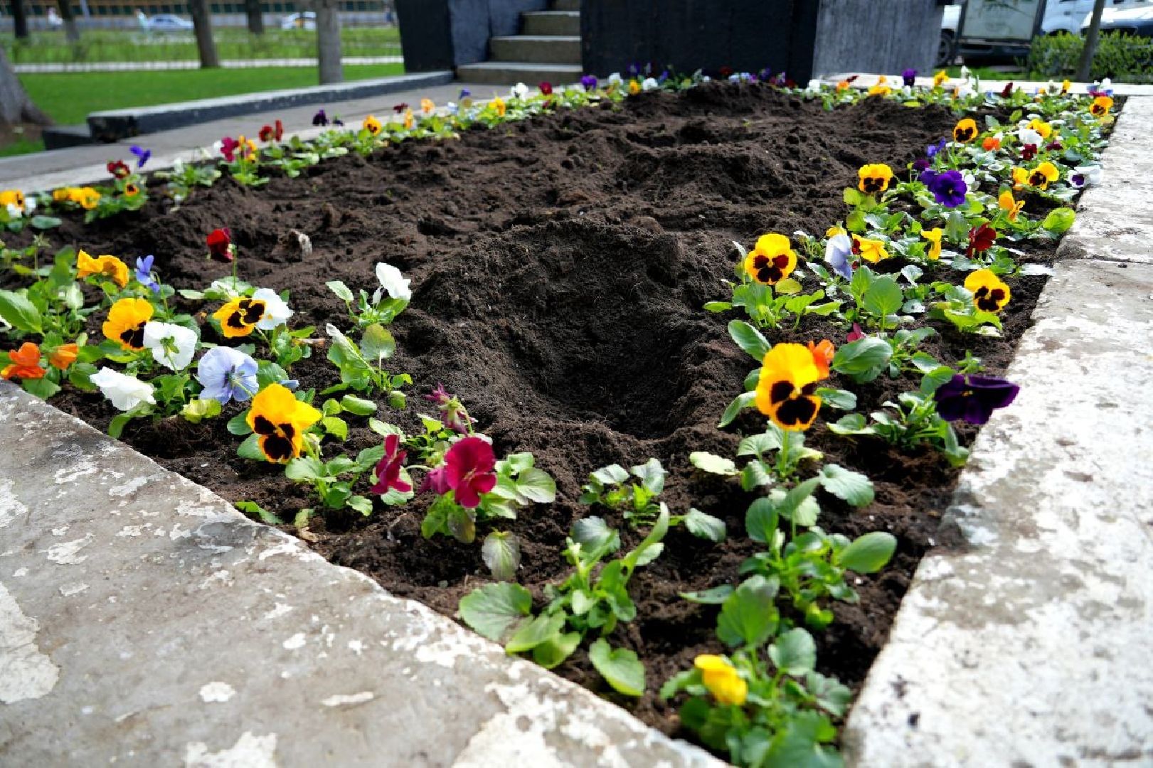 благоустройство , сергиев посад, сергиево-посадский городской округ, украшение , весна,