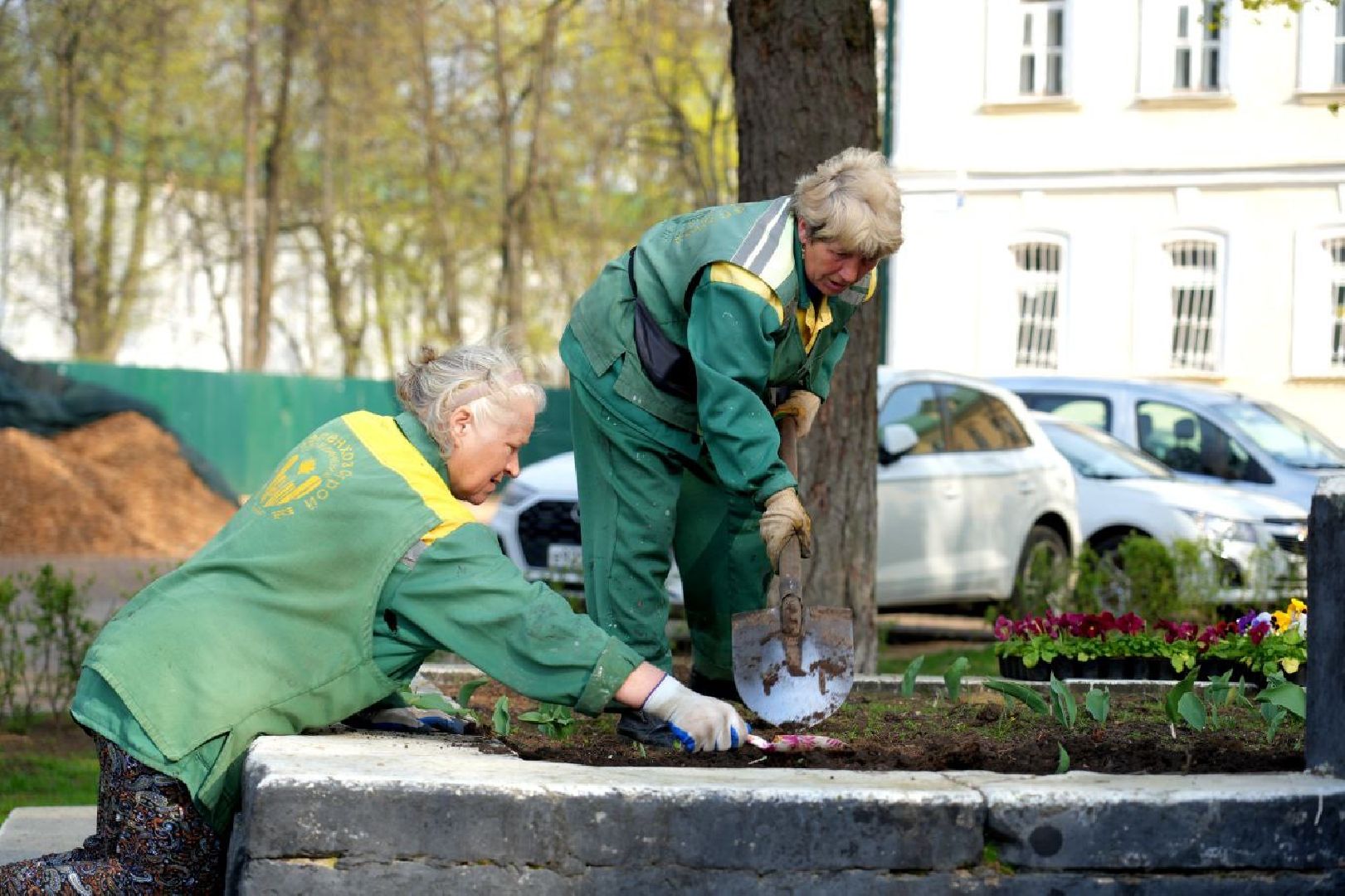 благоустройство , сергиев посад, сергиево-посадский городской округ, украшение , весна,