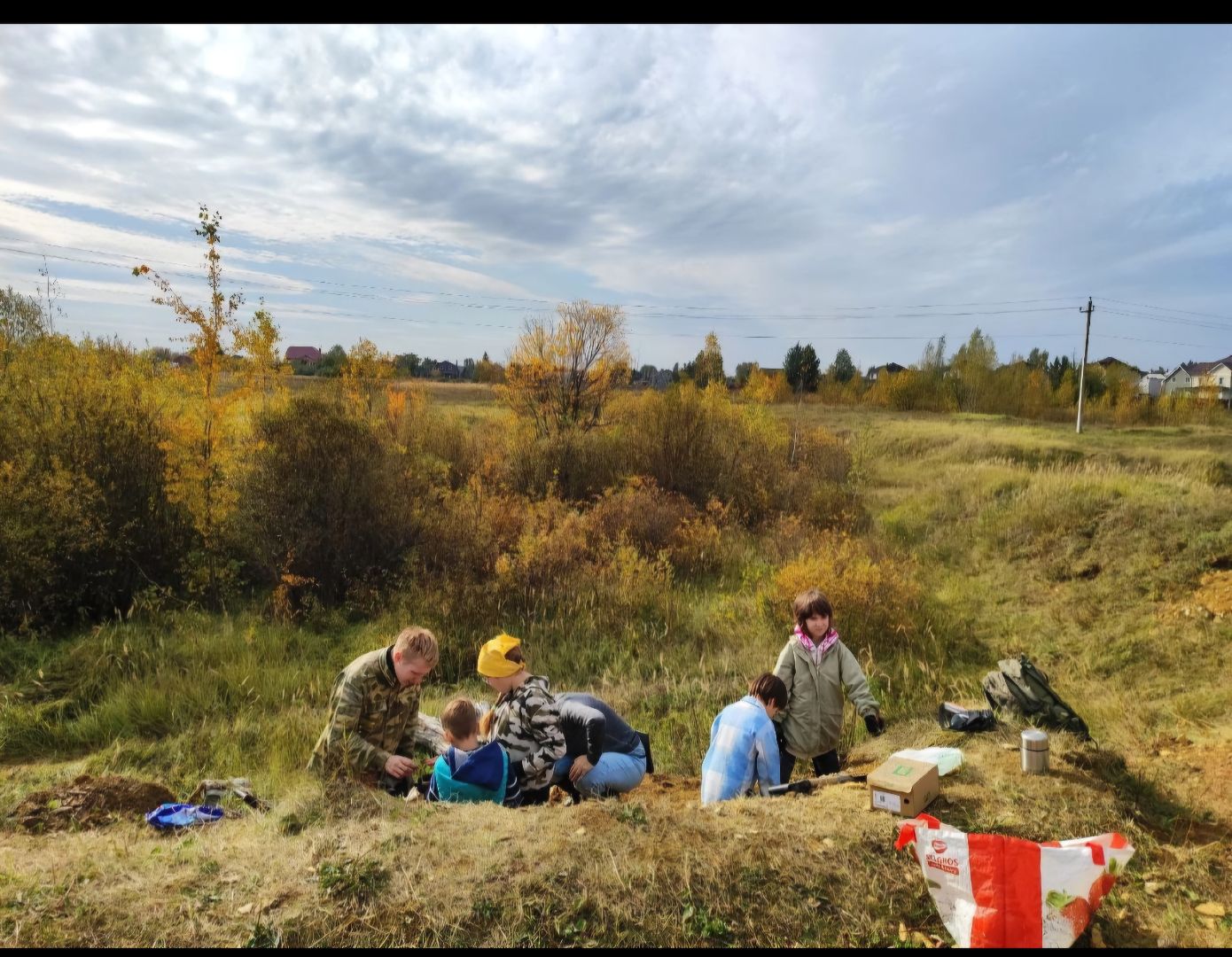 палеонтология, история, библиотека,