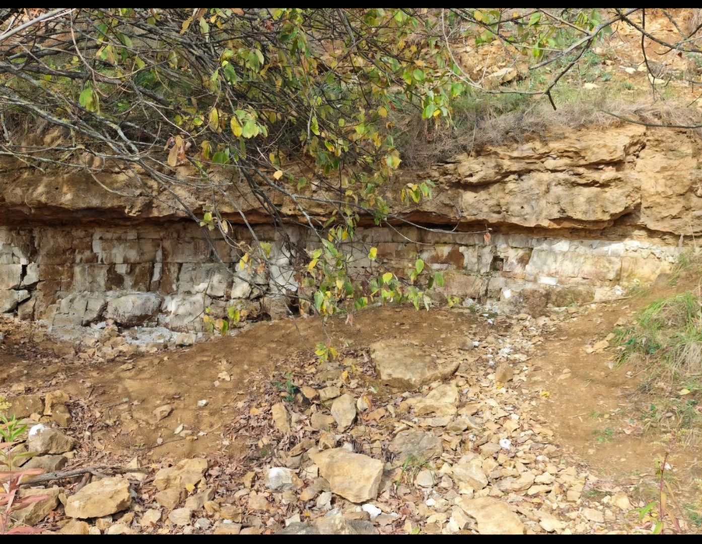 палеонтология, история, библиотека,