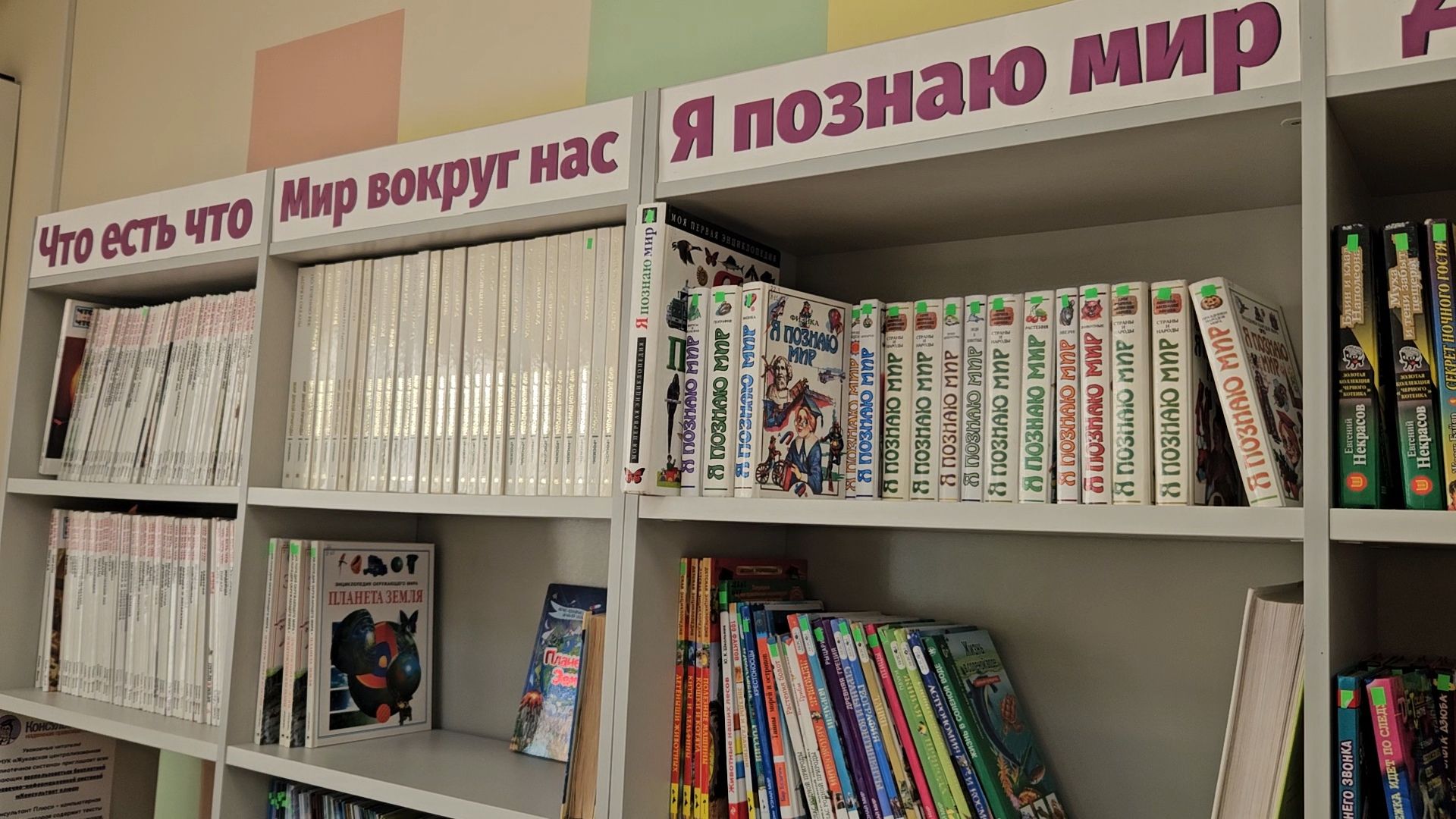 палеонтология, история, библиотека,