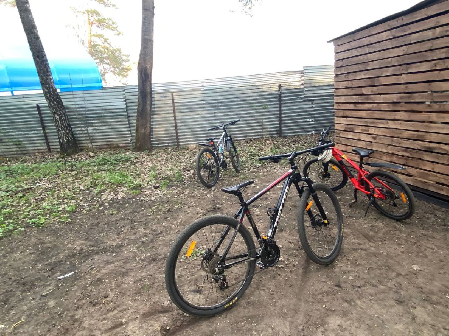 велозабег, велопрогулка, экопарк губайлово,