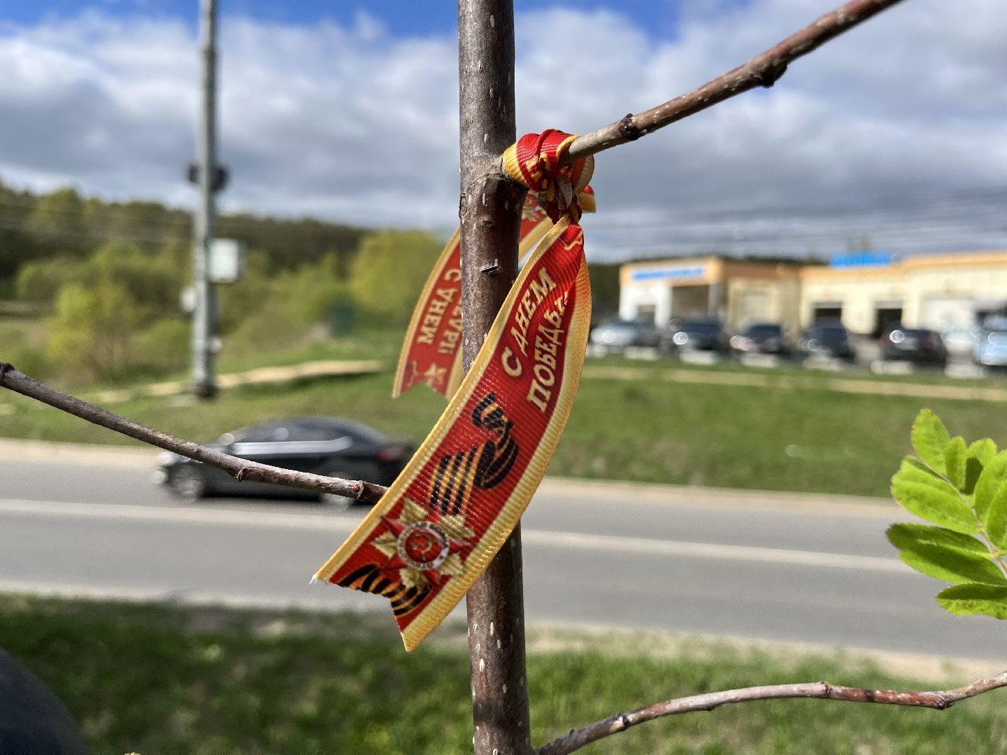 всероссийский субботник, наро-фоминск, наро-фоминский городской округ, сад памяти, сибирское здоровье , роман шамнэ,