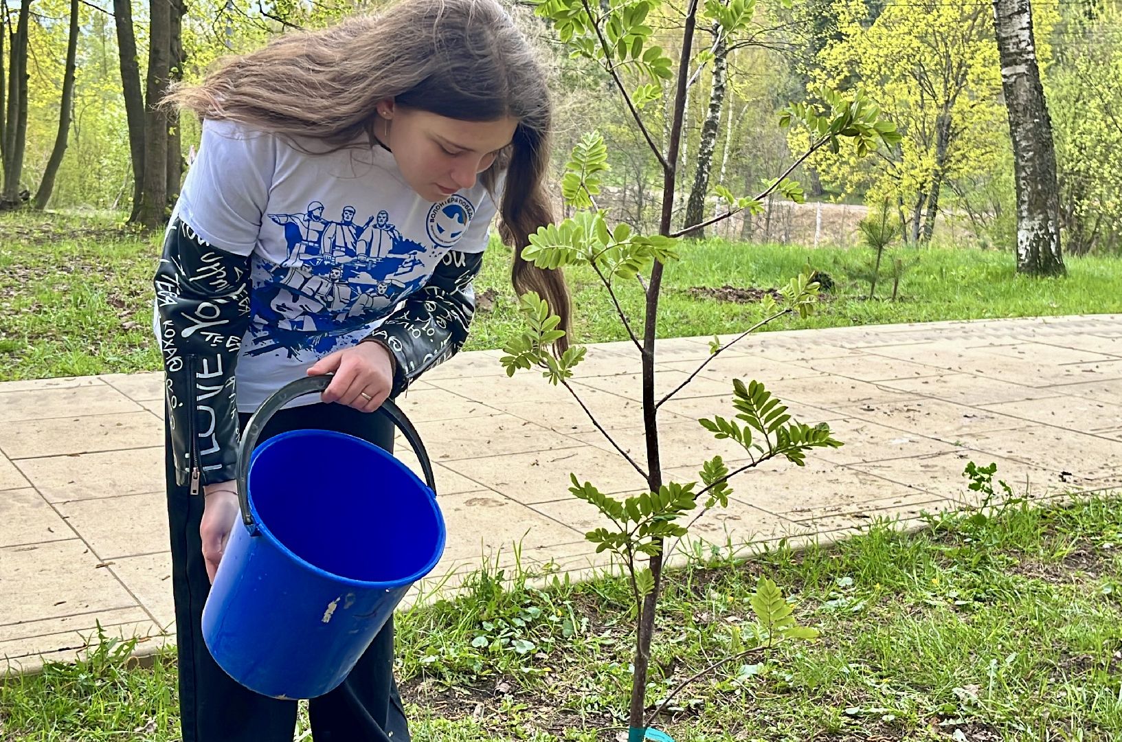 всероссийский субботник, наро-фоминск, наро-фоминский городской округ, сад памяти, сибирское здоровье , роман шамнэ,