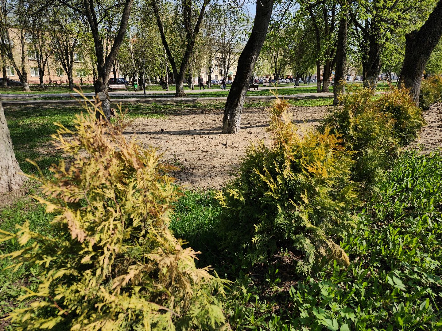 благоустройство, формирование комфортной городской среды, орехово-зуевский округ,