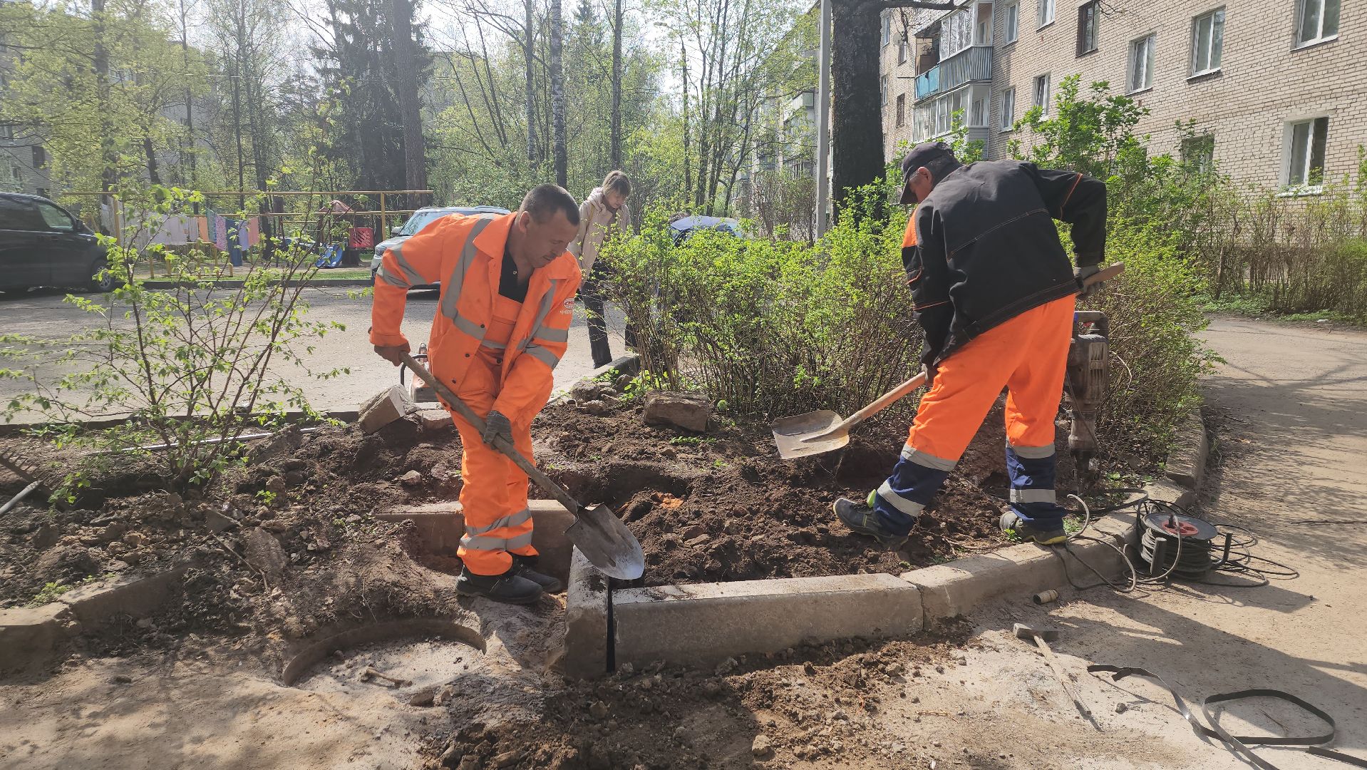 пушкино, газон, ремонтные работы,бордюрный камень, рабочие, подрядная организация,