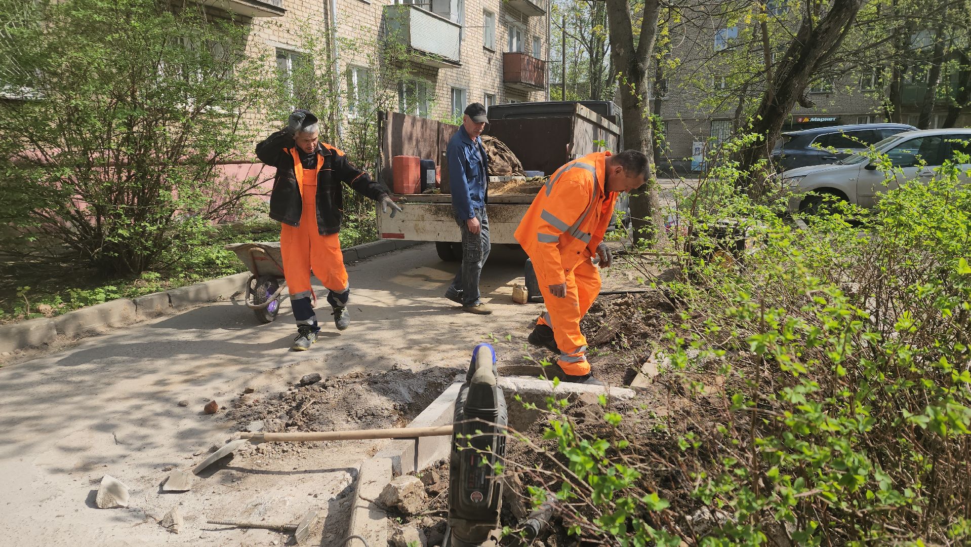пушкино, газон, ремонтные работы,бордюрный камень, рабочие, подрядная организация,