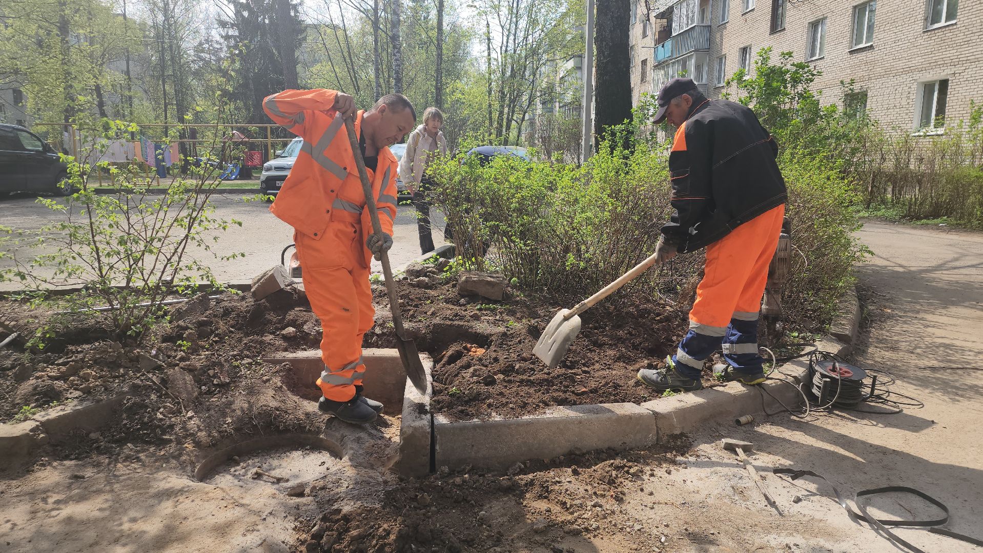 пушкино, газон, ремонтные работы,бордюрный камень, рабочие, подрядная организация,