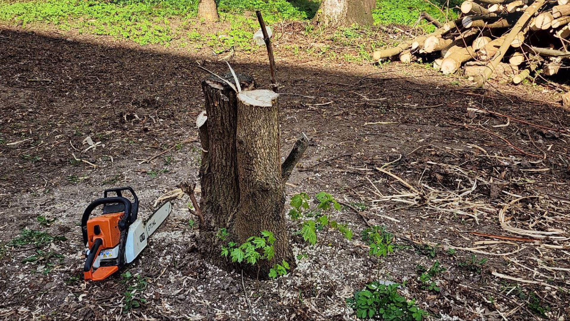 Дмитров, Благоустройство, Микрорайон Космонавтов, Минблаго,