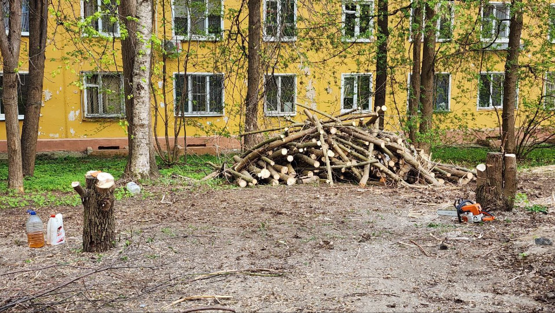 Дмитров, Благоустройство, Микрорайон Космонавтов, Минблаго,