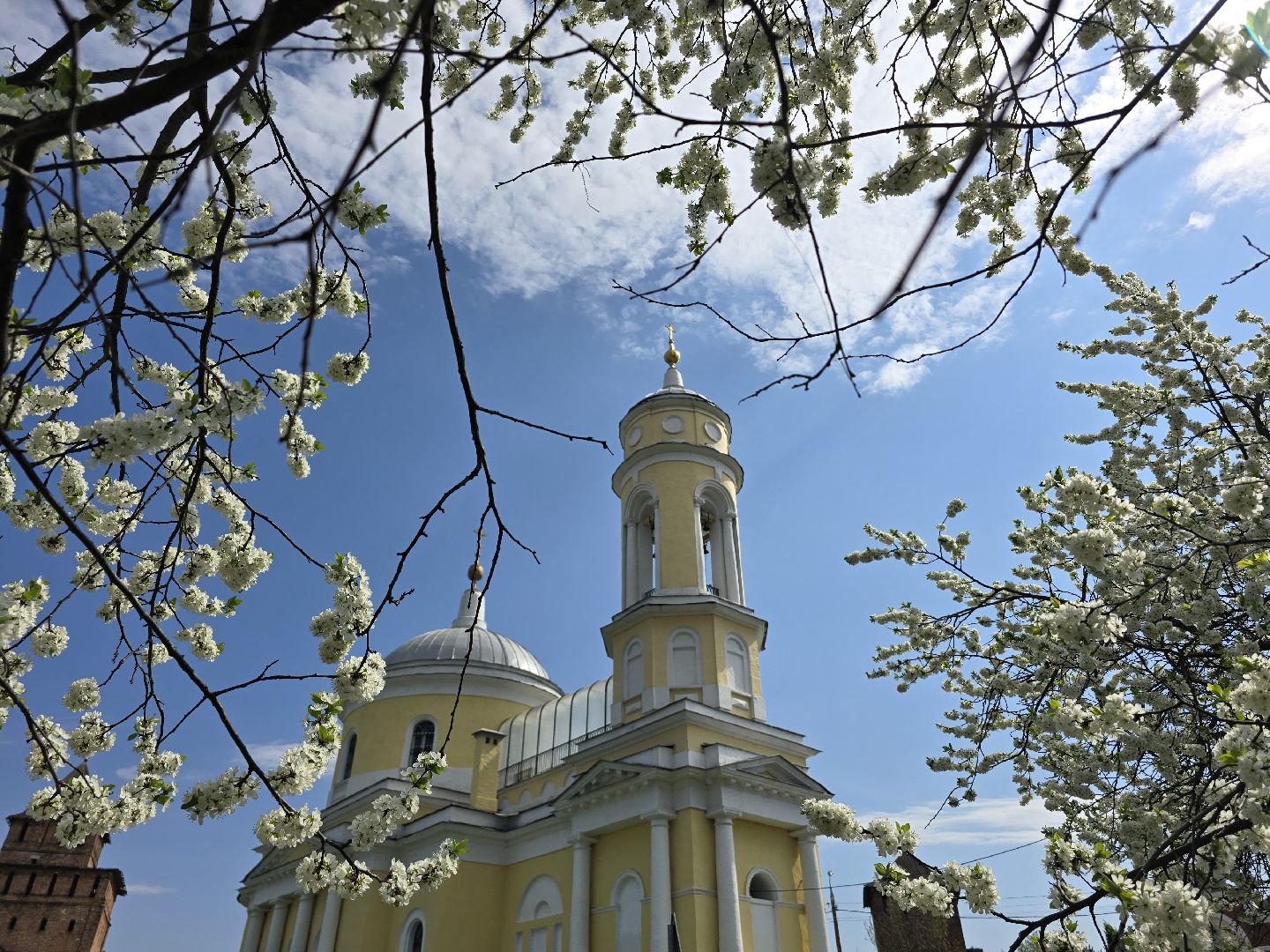 Коломна, цветение растений, майские праздники,