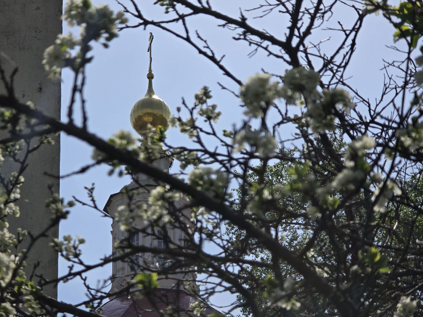 Коломна, цветение растений, майские праздники,