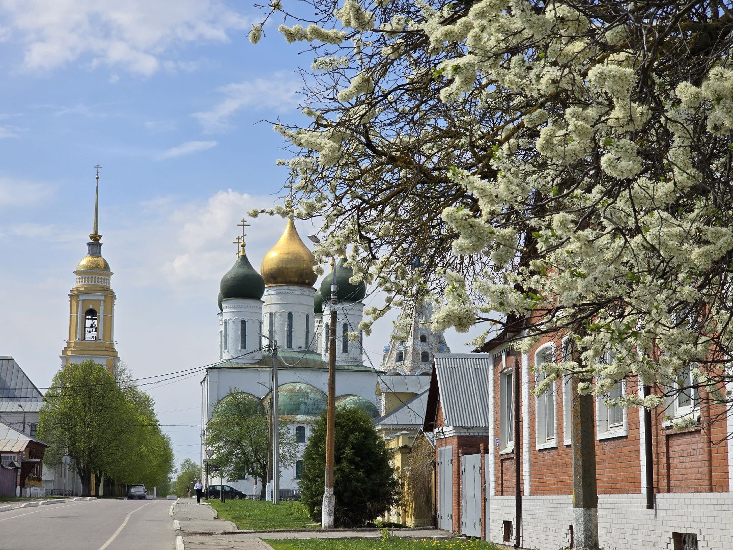 Коломна, цветение растений, майские праздники,