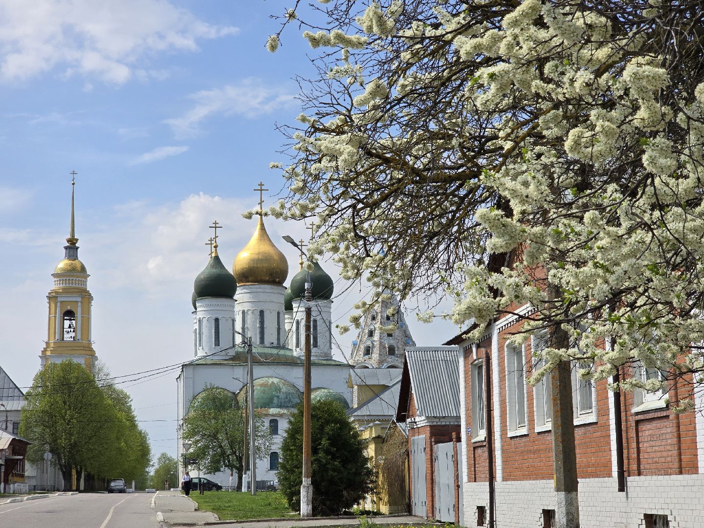 Коломна, цветение растений, майские праздники,