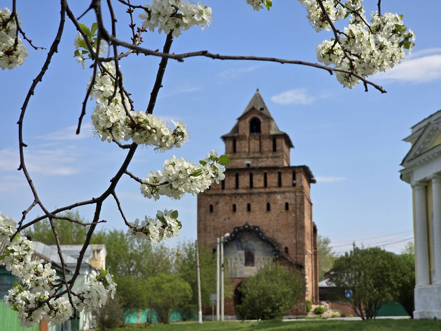 Коломна, цветение растений, майские праздники,