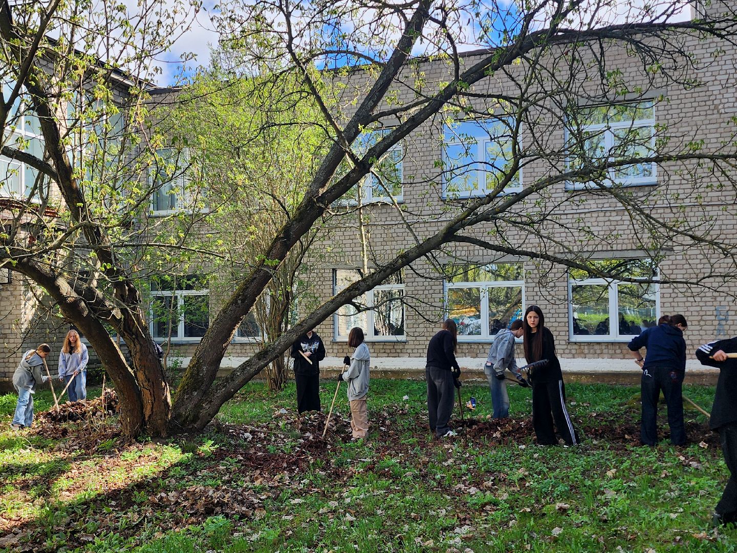 дубна, субботник, музей крылатых ракет, волонтеры подмосковья, молодая гвардия, совет депутатов, дмитровский техникум,