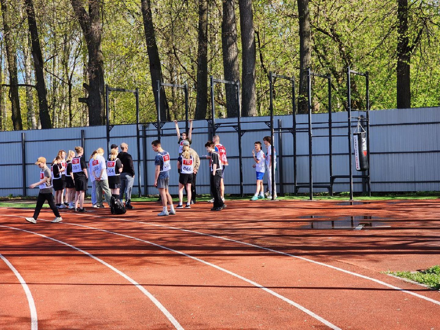 солнечногорск, спорт, сдача нормативов, ГТО, жители, значки ГТО,