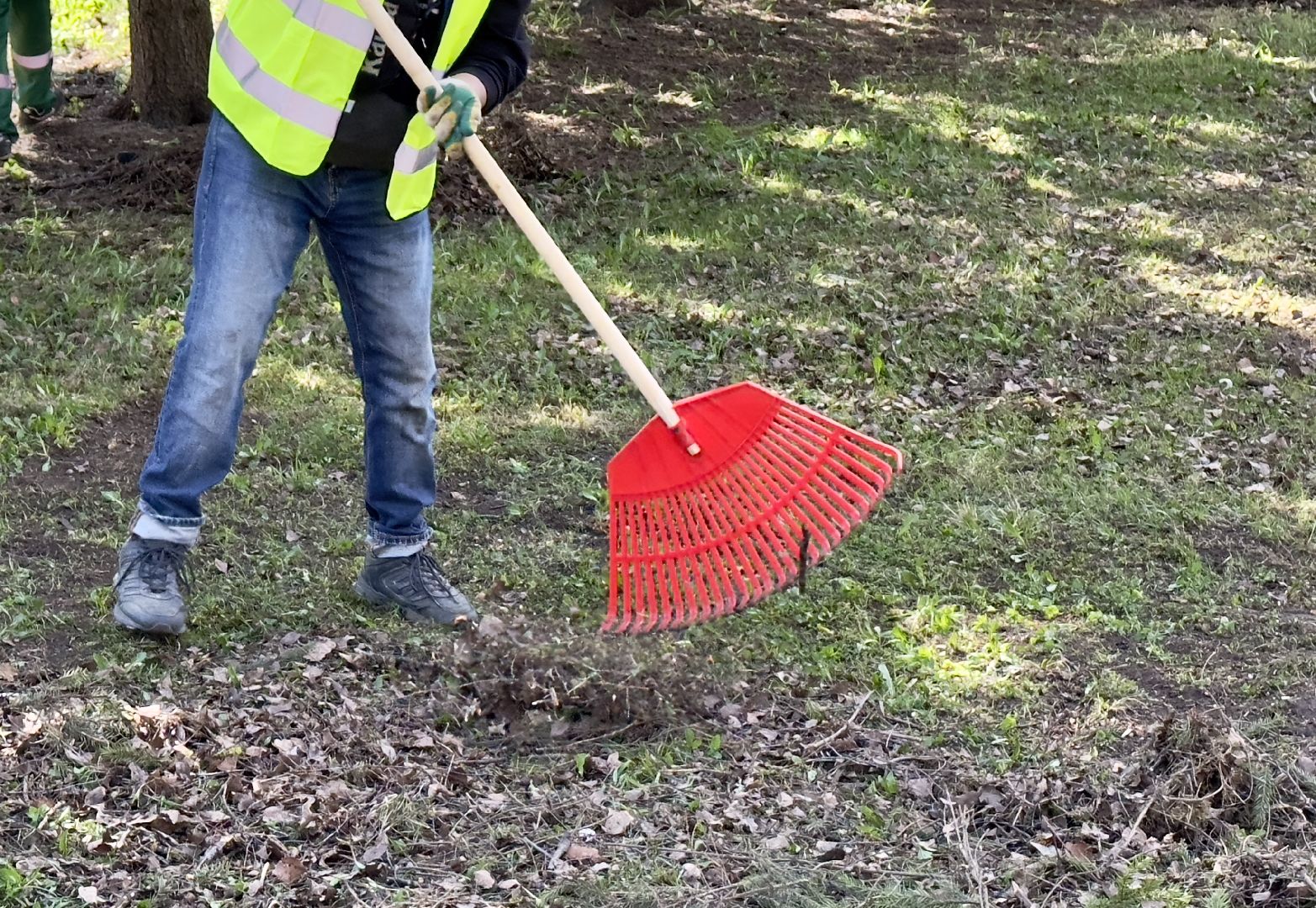 хотьково, сергиево-посадский городской округ, парк победы, благоуствойство, опиловка деревьев, уборка територии,