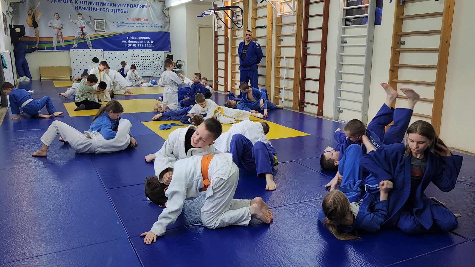 ивантеевка, тренер, дзюдо, дзюдоистка, спорт детям,советы,спортивная борьба,