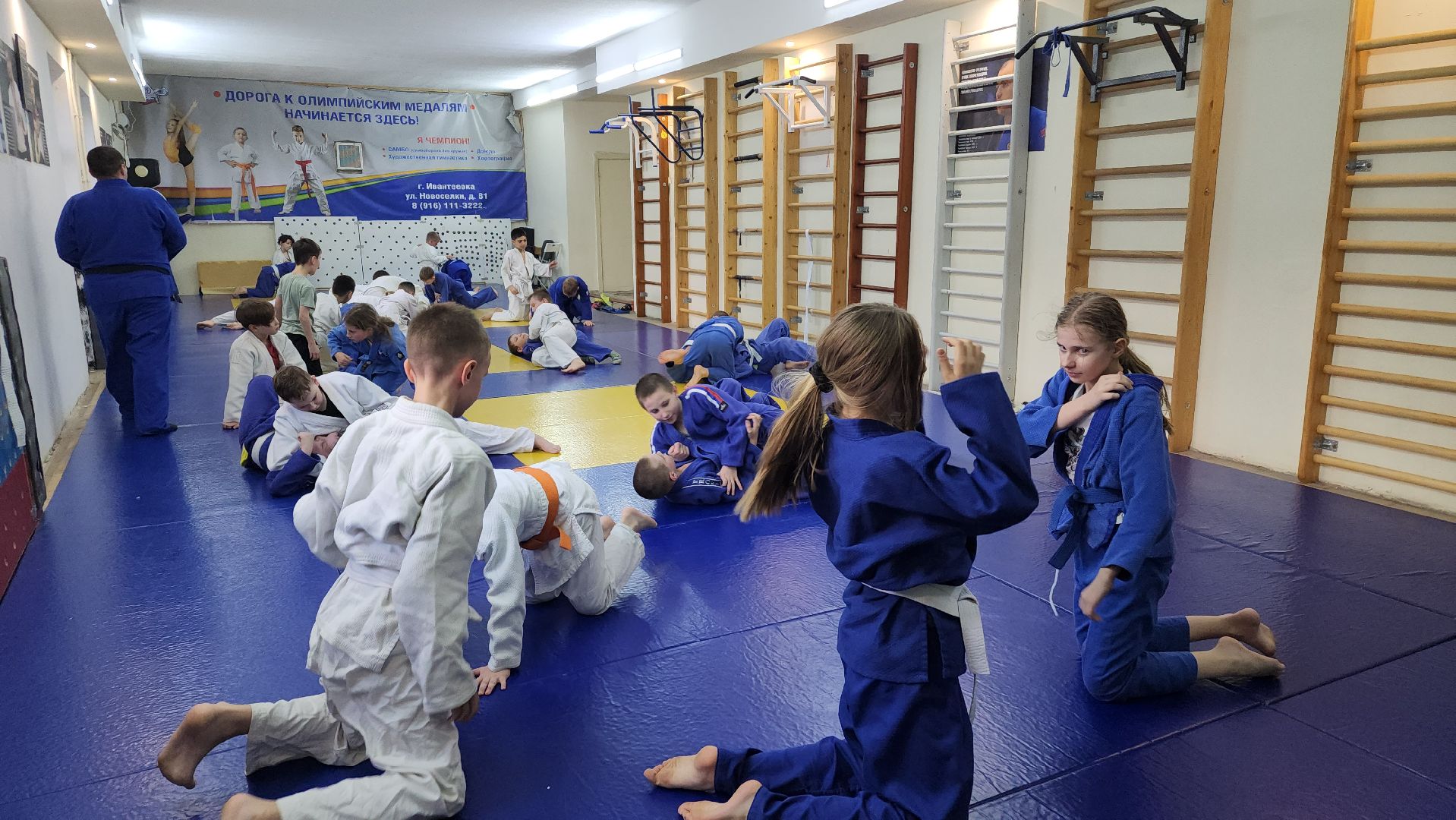 ивантеевка, тренер, дзюдо, дзюдоистка, спорт детям,советы,спортивная борьба,
