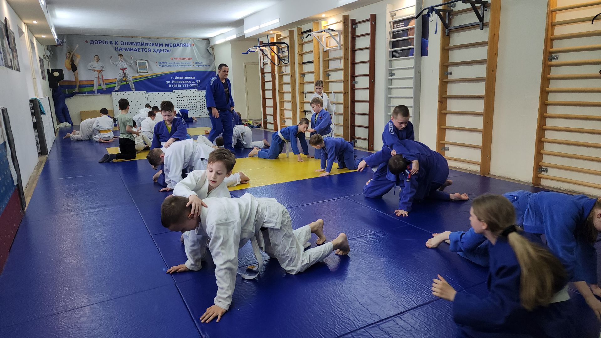 ивантеевка, тренер, дзюдо, дзюдоистка, спорт детям,советы,спортивная борьба,