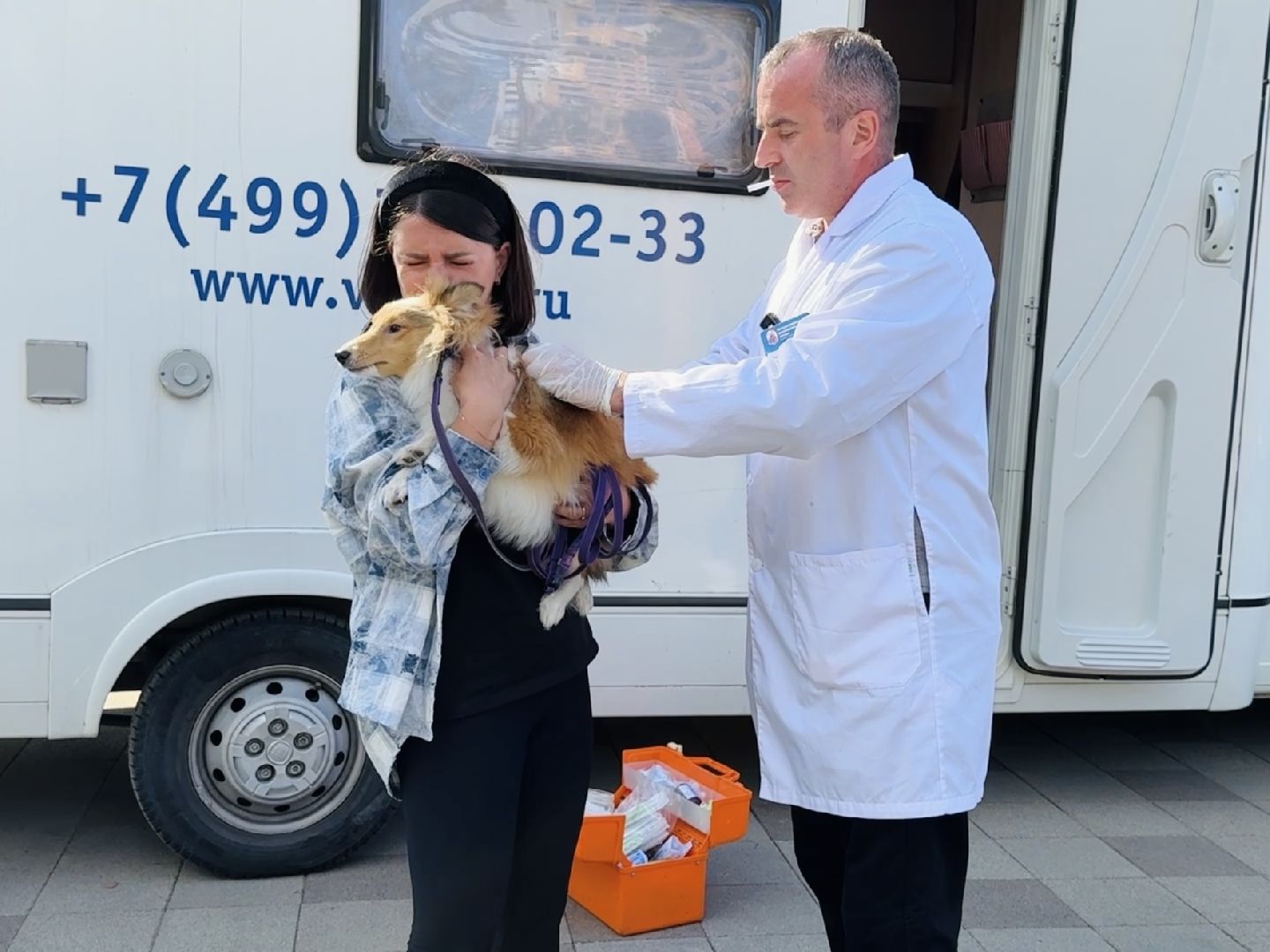 раменское, ветеринар, вакцинация животных, бешенство, чипирование, регистрация животных,