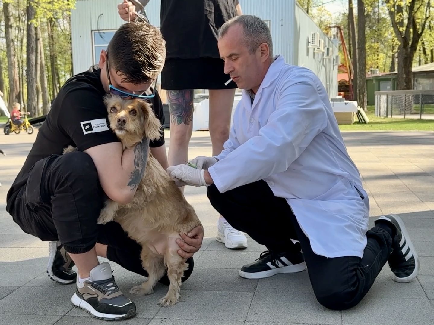 раменское, ветеринар, вакцинация животных, бешенство, чипирование, регистрация животных,