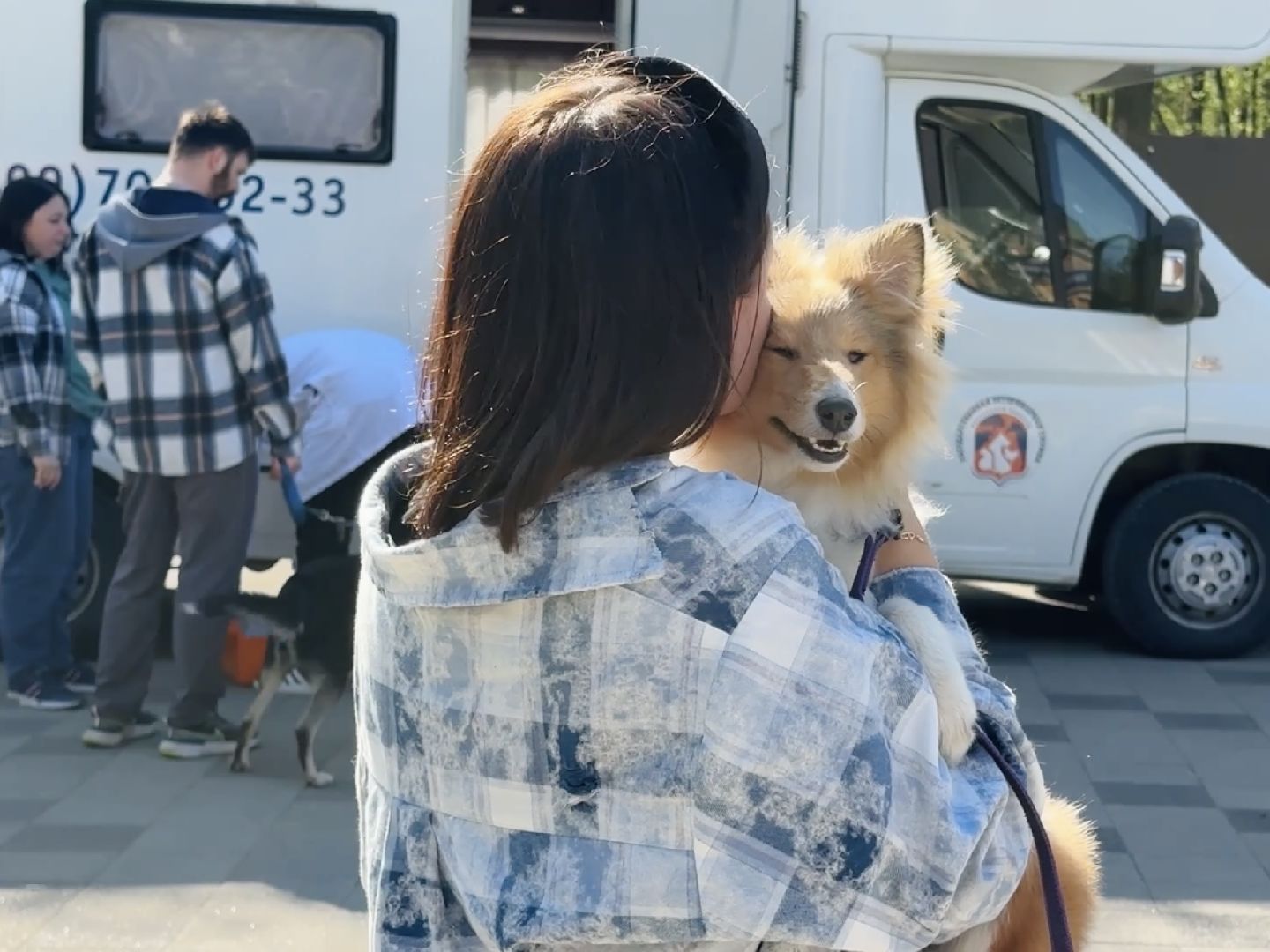 раменское, ветеринар, вакцинация животных, бешенство, чипирование, регистрация животных,