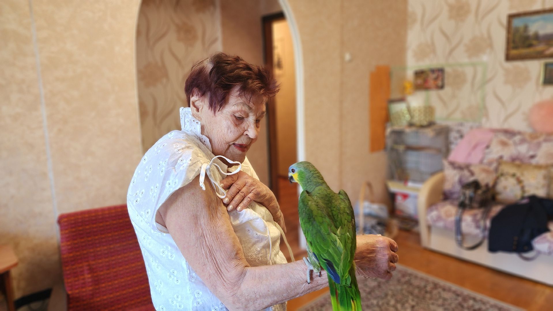 солнечногорск, алабушево, ветеран вов, герои среди нас,