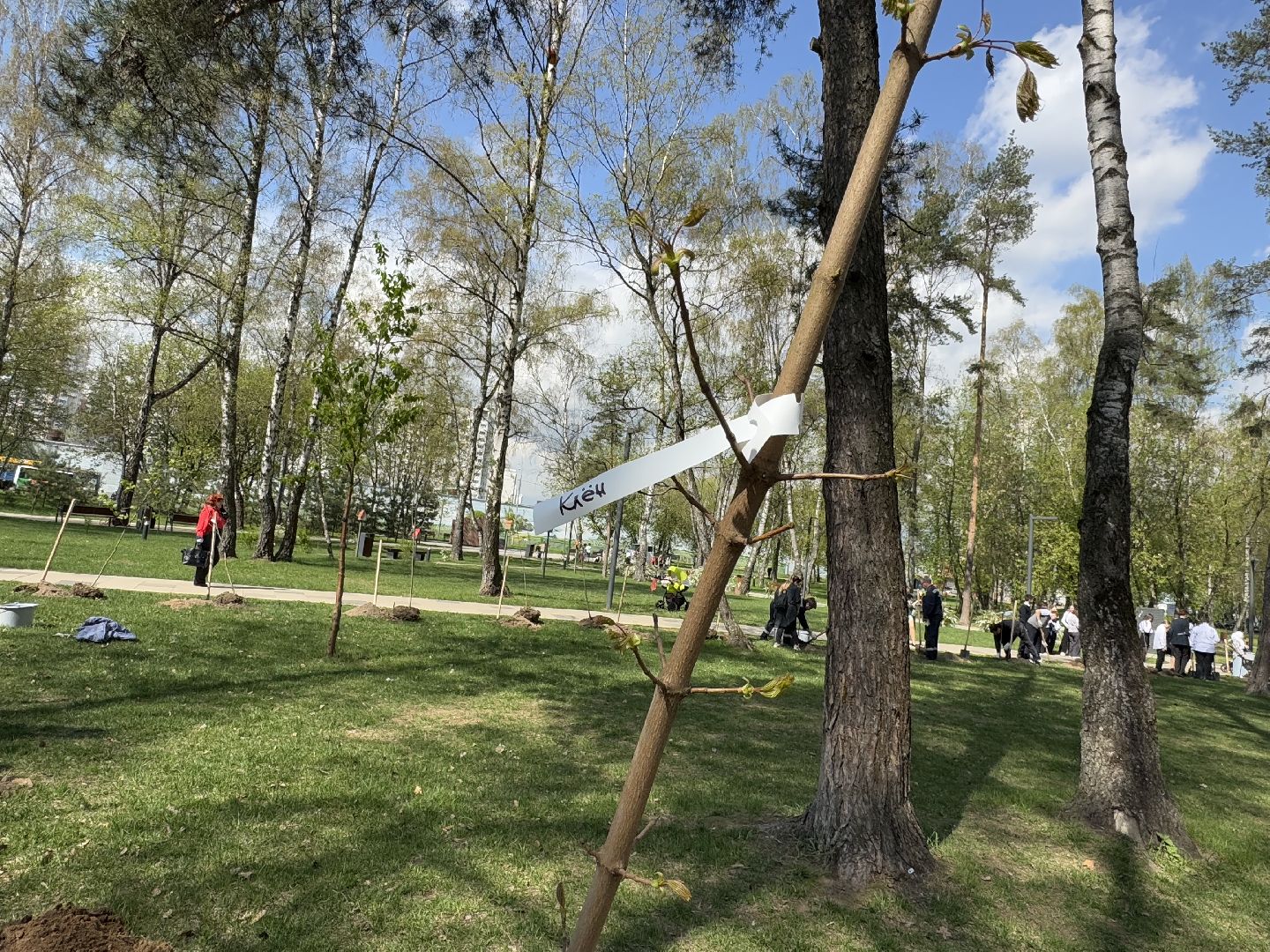 80 лет победы, субботник, балашиха,