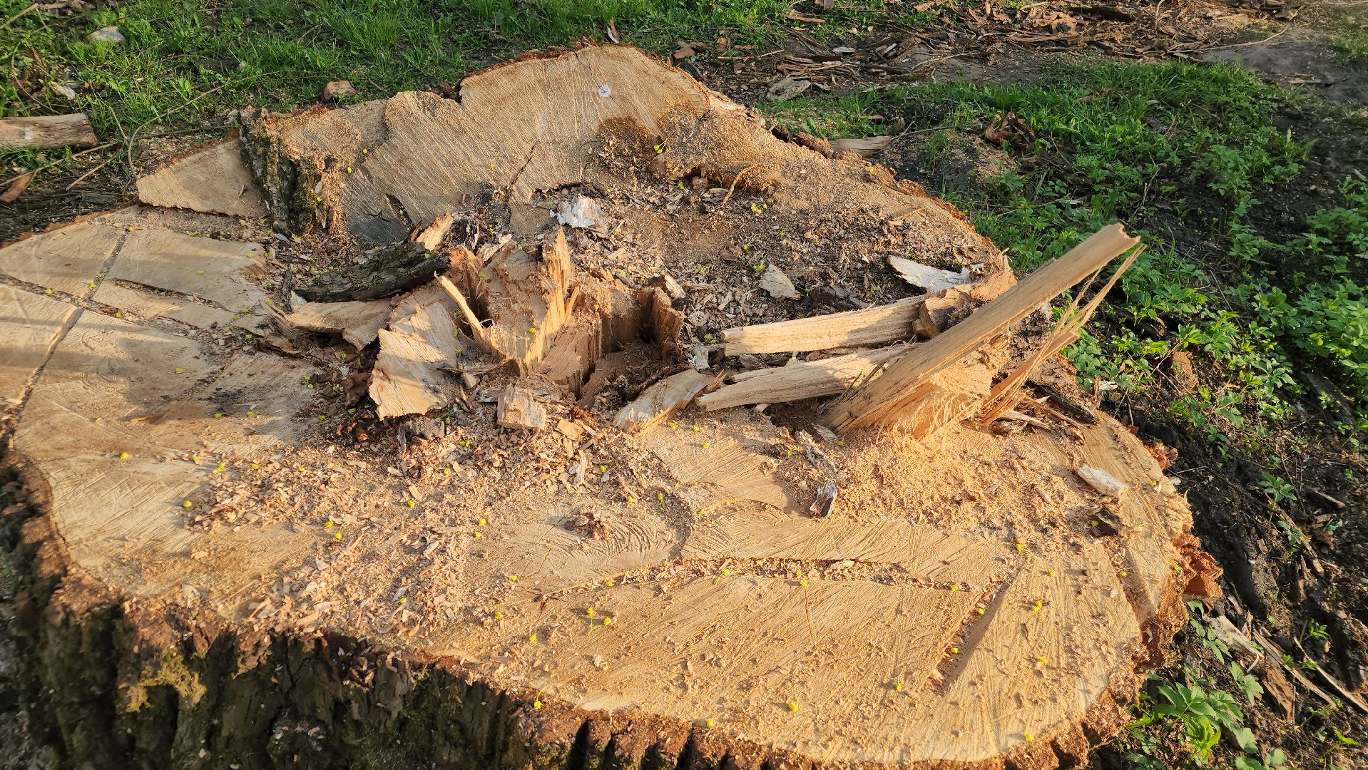 выездная администрация, ликино-дулево, орехово-зуевский округ,