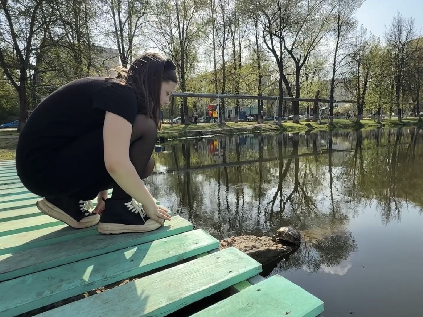раменское, озеро пионер, черепахи,