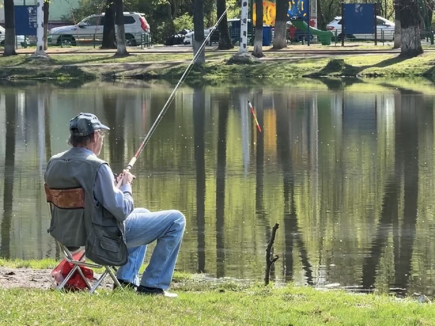 раменское, озеро пионер, черепахи,