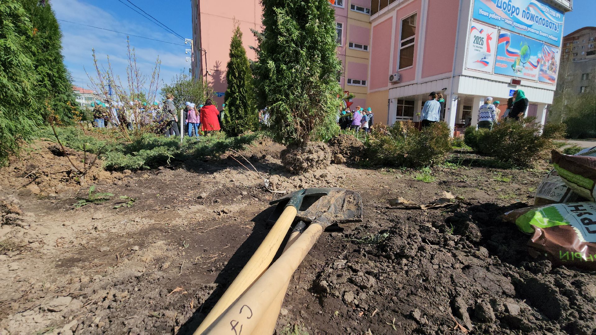 высадка деревьев, экологическая акция, Лобня,