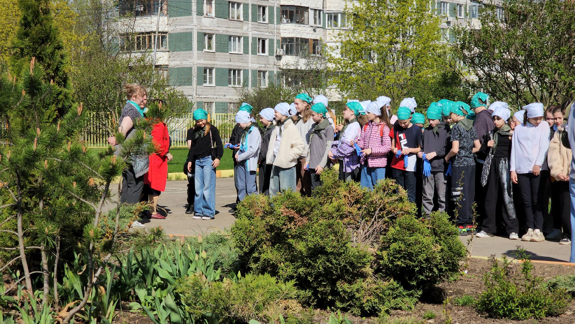 высадка деревьев, экологическая акция, Лобня,