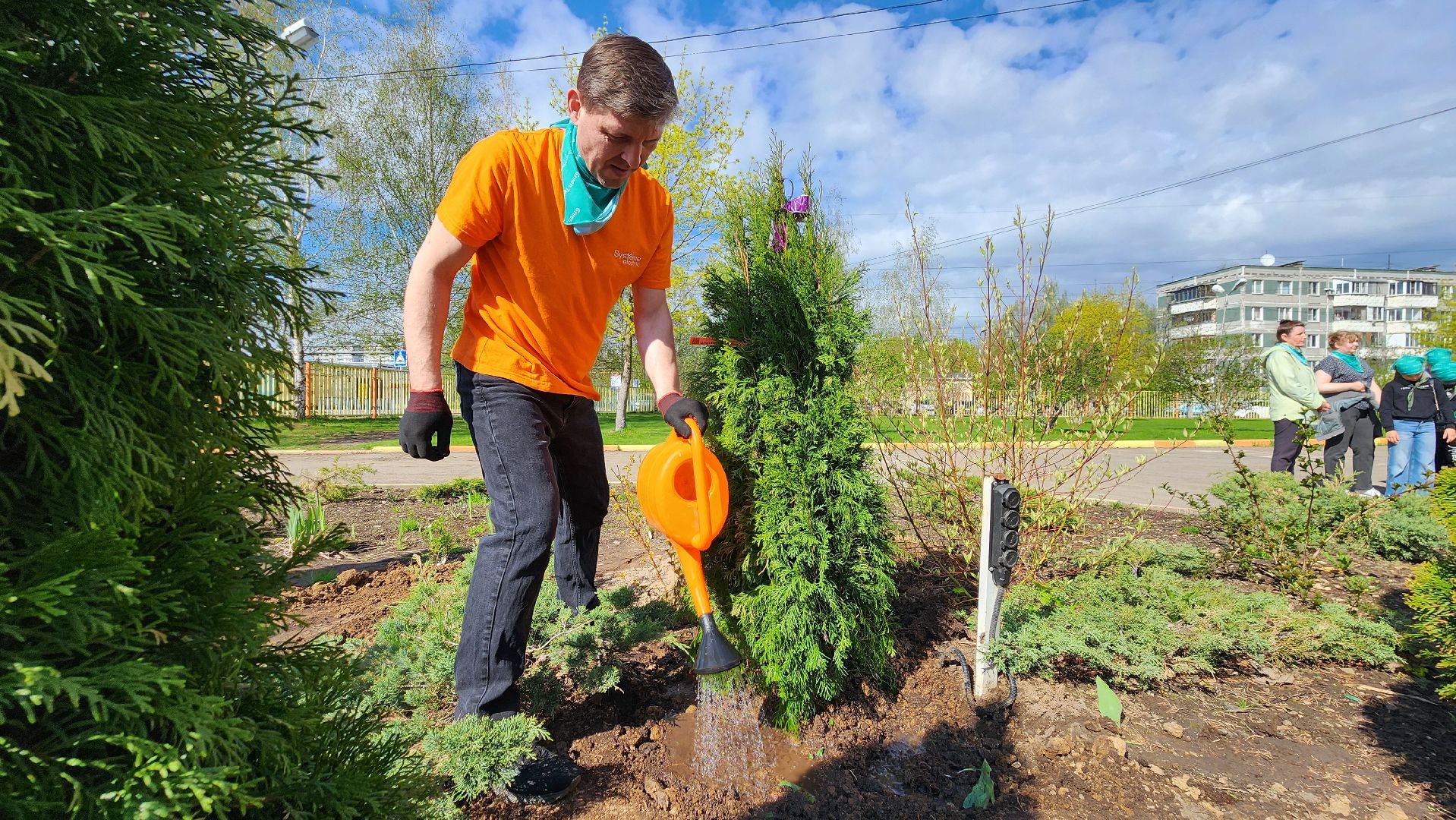высадка деревьев, экологическая акция, Лобня,