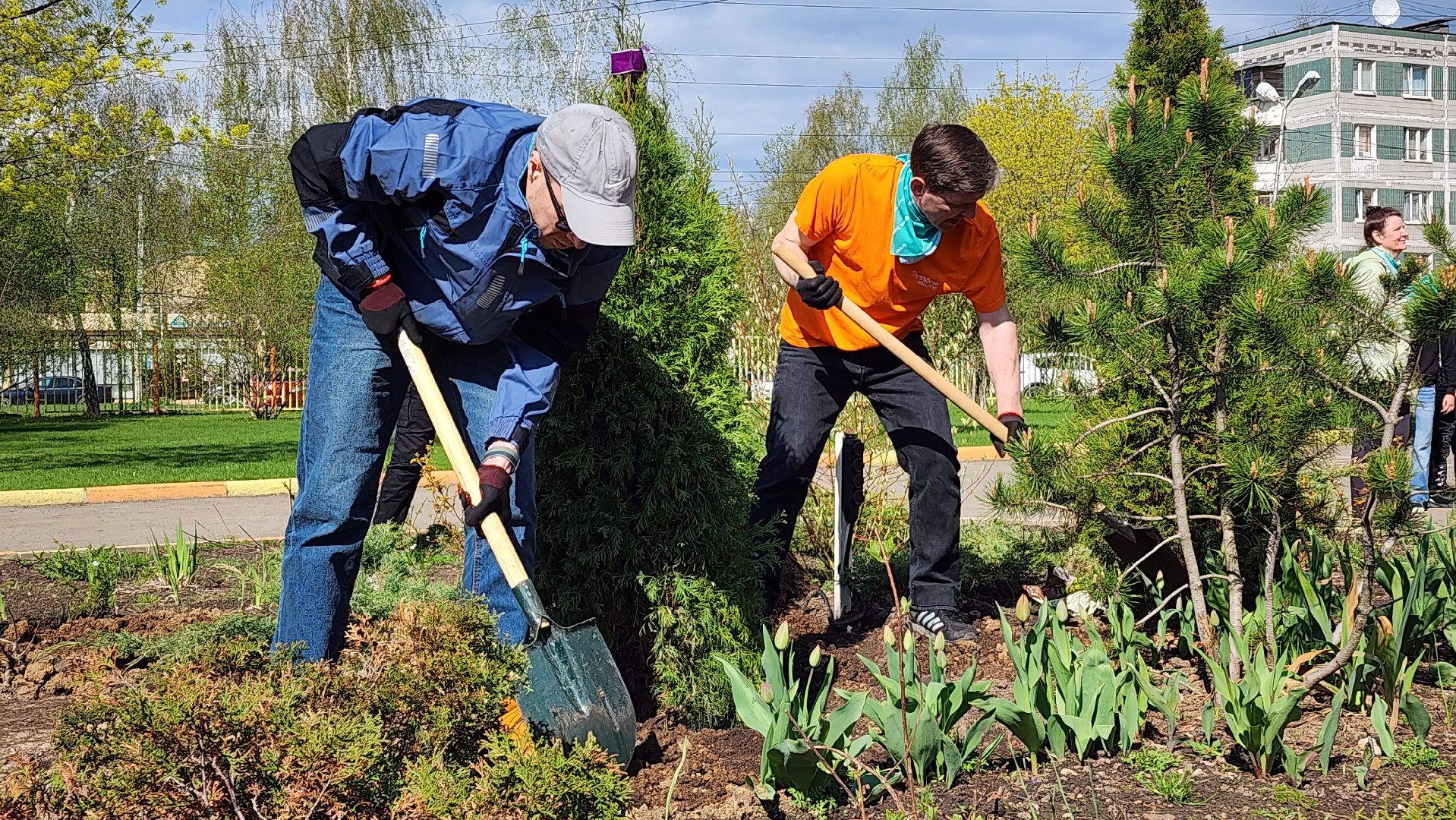 высадка деревьев, экологическая акция, Лобня,