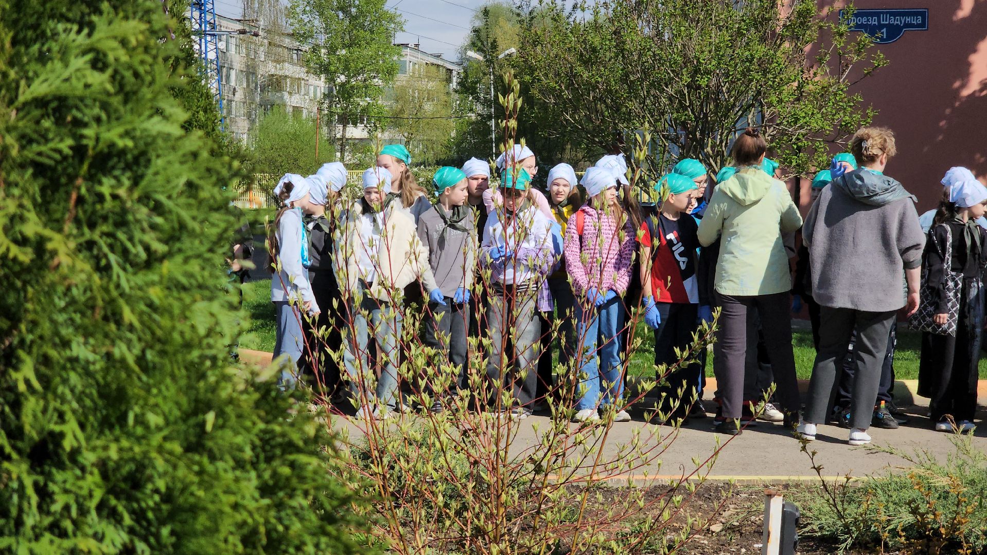 высадка деревьев, экологическая акция, Лобня,