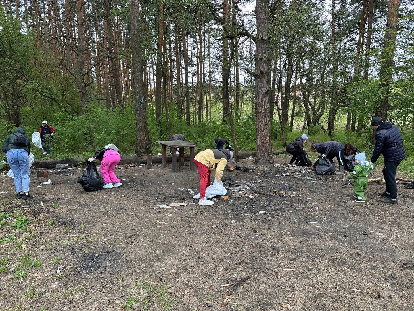 субботник, домодедово,