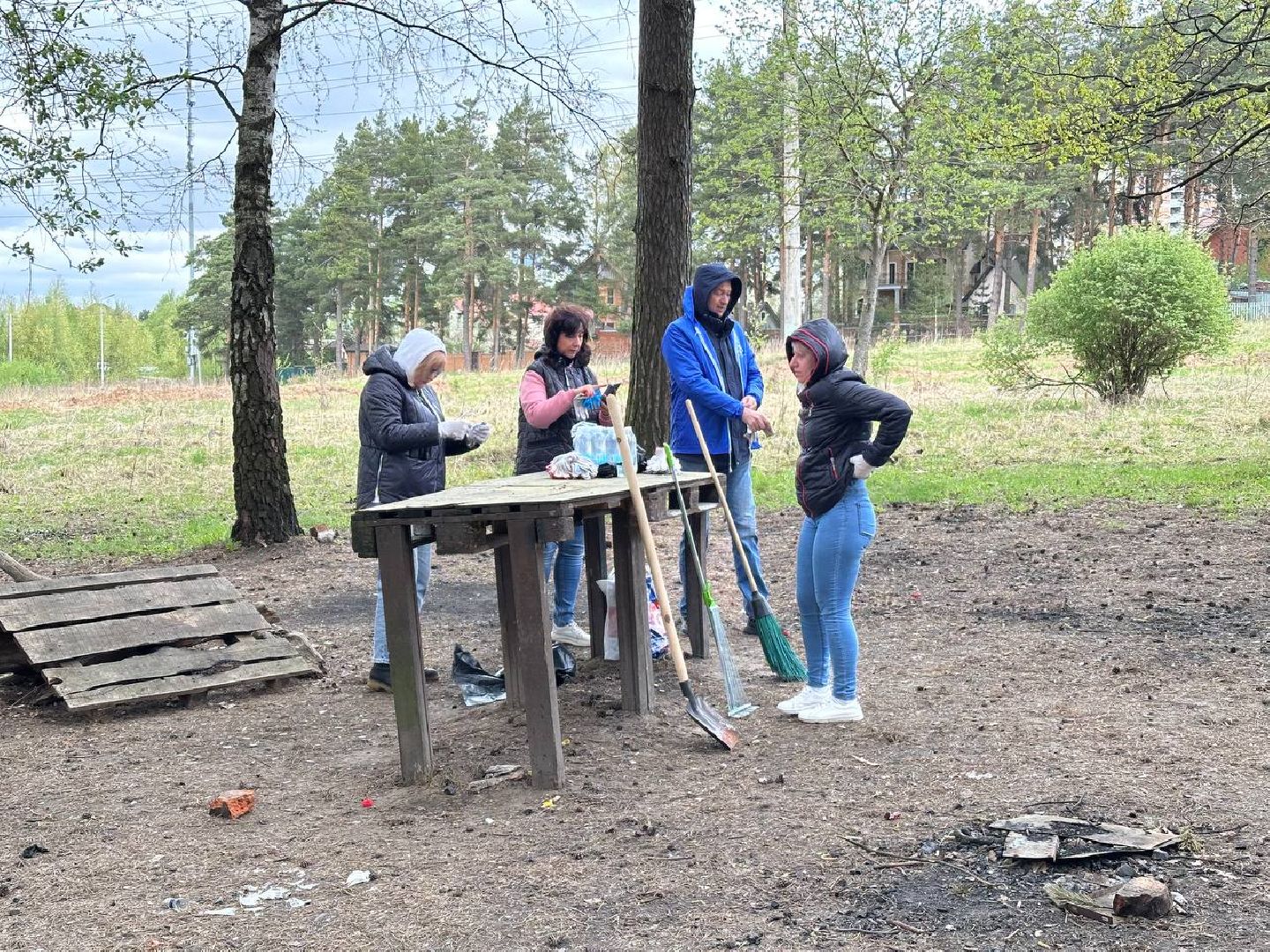 субботник, домодедово,