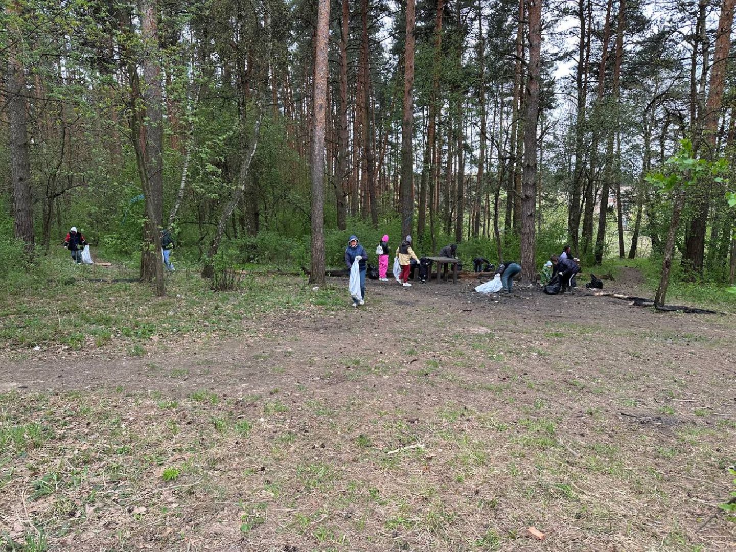 субботник, домодедово,