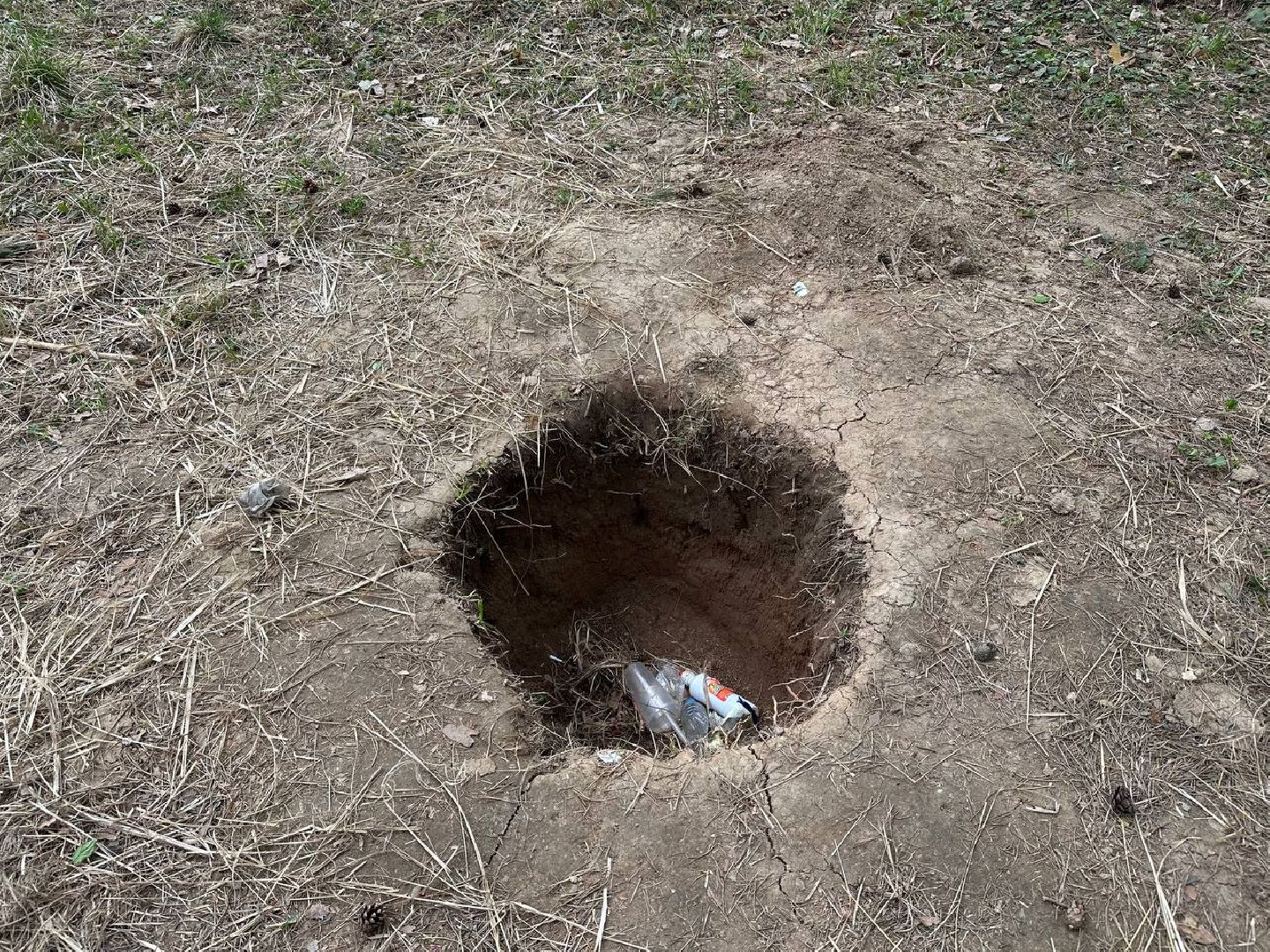 субботник, домодедово,